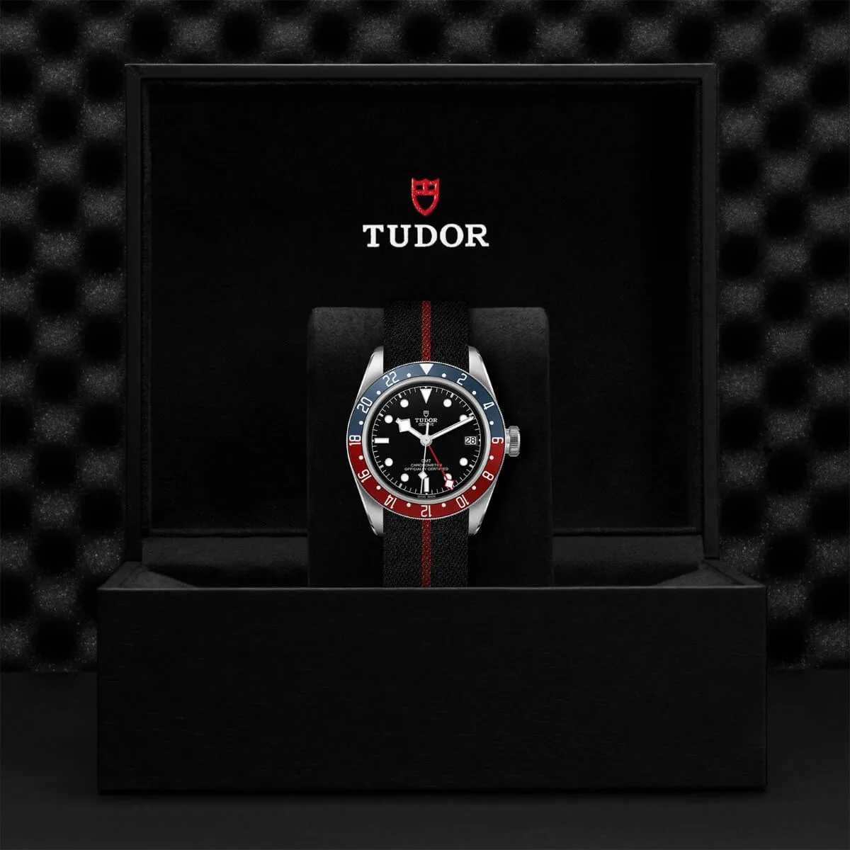 TUDOR Black Bay GMT on fabric strap - Image 7