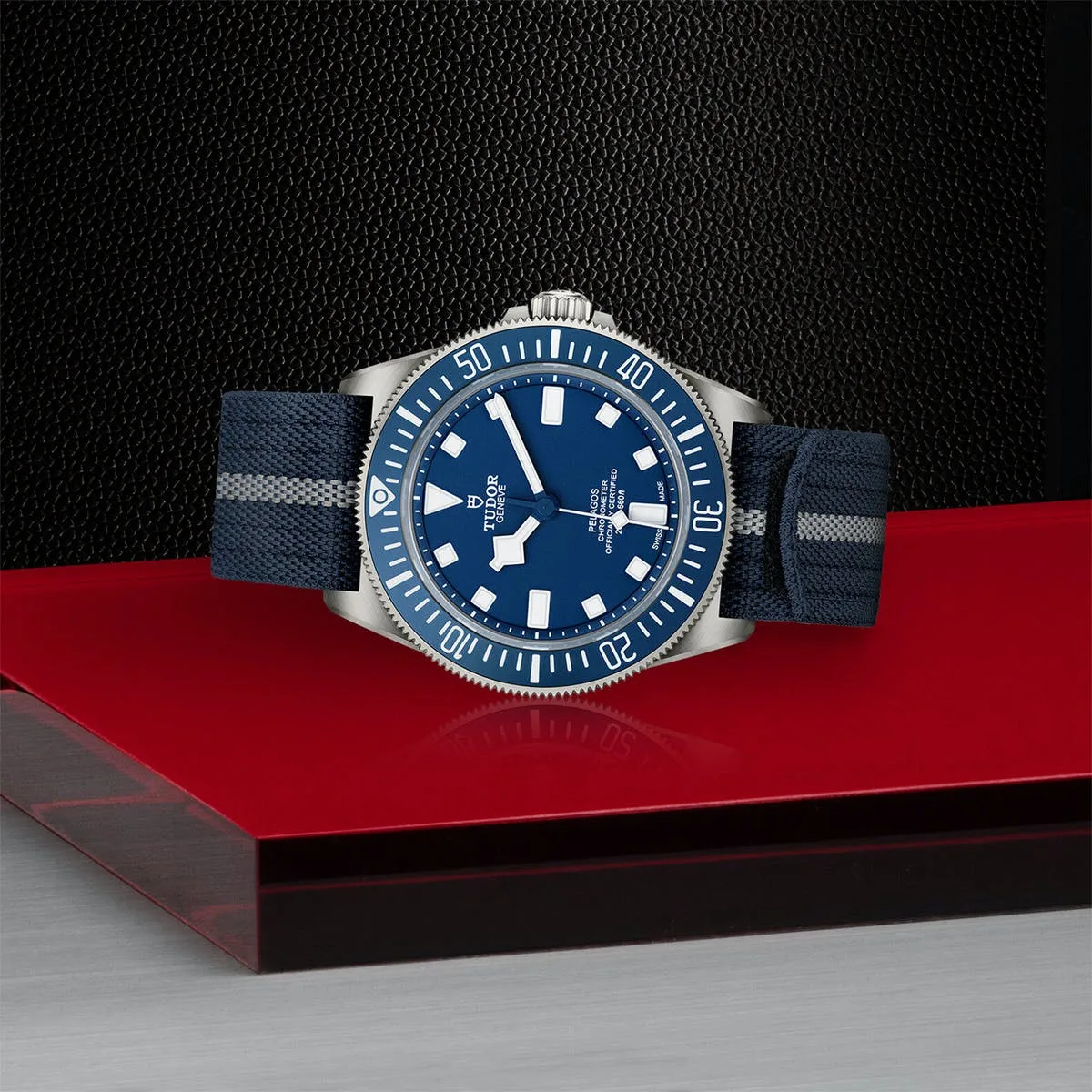 TUDOR Pelagos FXD - Image 5