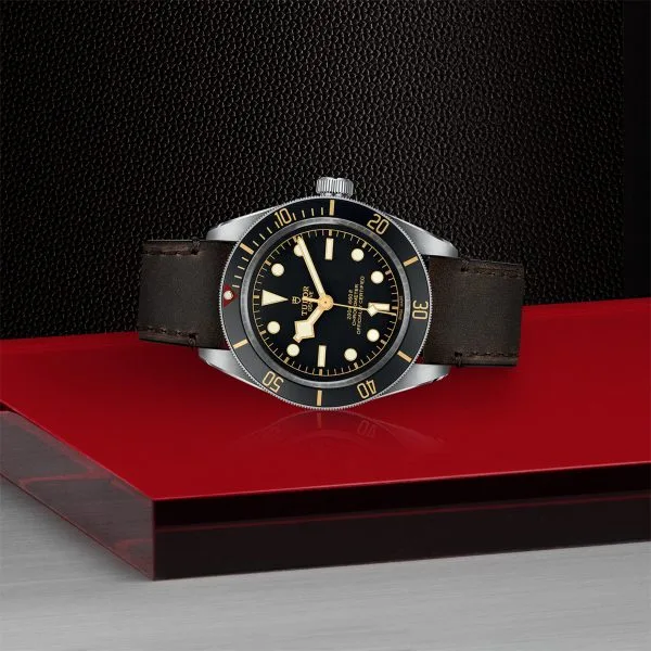 TUDOR Black Bay Fifty Eight, Black Dial, Brown Leather Strap - Image 4