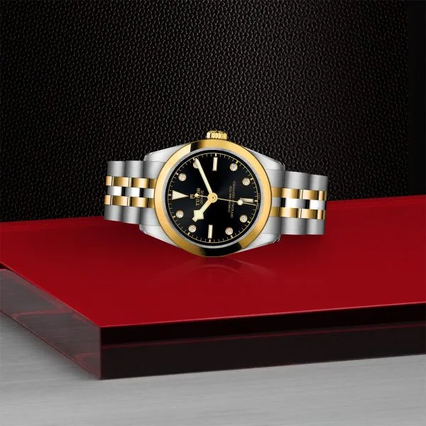 TUDOR stainless steel and gold Black Bay 31mm watch on bracelet - Image 3