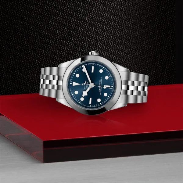 TUDOR Black Bay 39MM in Stainless Steel - Image 4