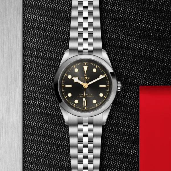 TUDOR Black Bay 41MM in Stainless Steel - Image 3